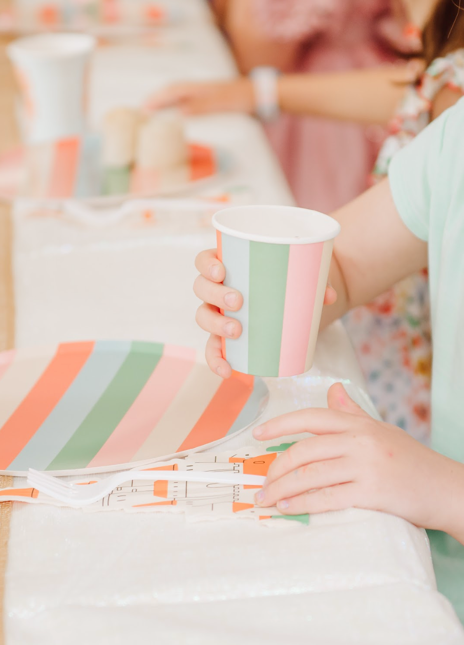 Colorful Striped Party Paper Plates 9in (x12) | Kids Birthday & Every Occasion Plates