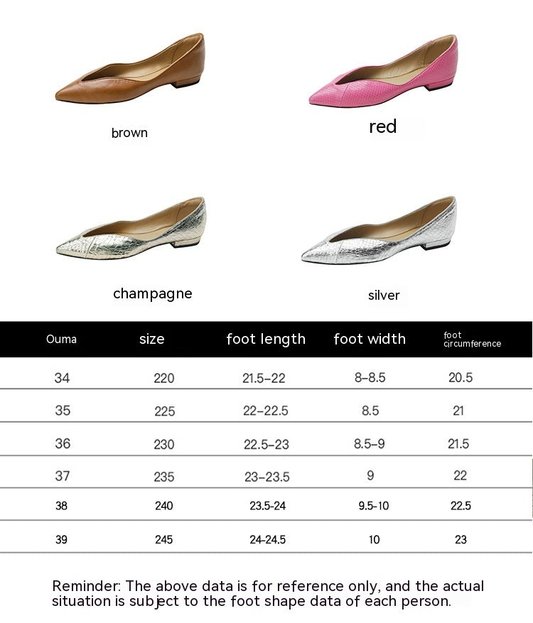 Women's French Pointed Flat Pumps